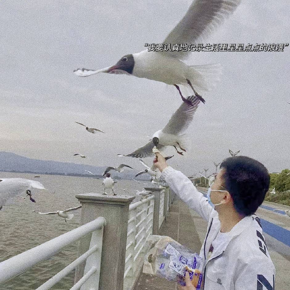 用户头像